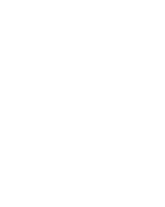 flip-icon
