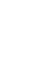 flip-icon